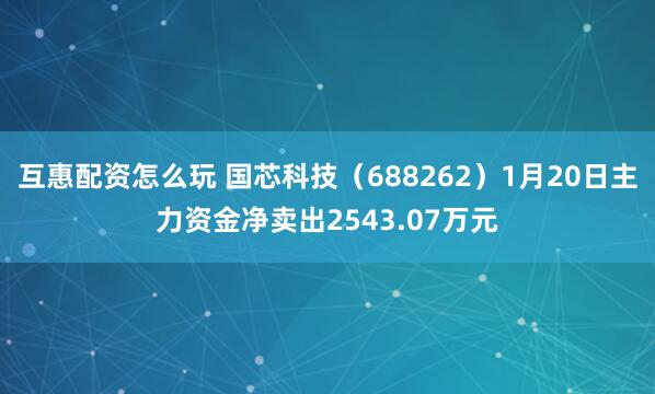 互惠配资怎么玩 国芯科技（688262）1月20日主力资金净卖出2543.07万元