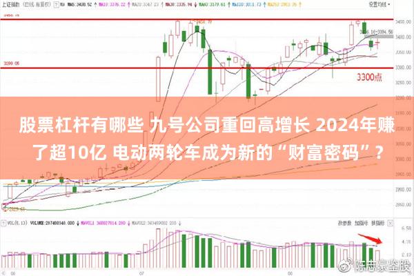 股票杠杆有哪些 九号公司重回高增长 2024年赚了超10亿 电动两轮车成为新的“财富密码”？