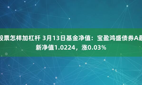 股票怎样加杠杆 3月13日基金净值：宝盈鸿盛债券A最新净值1.0224，涨0.03%