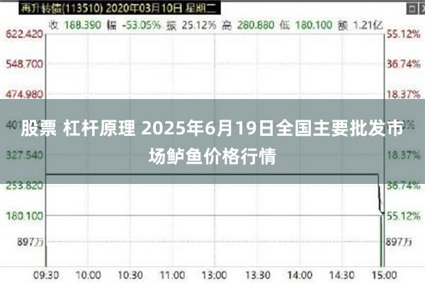 股票 杠杆原理 2025年6月19日全国主要批发市场鲈鱼价格行情