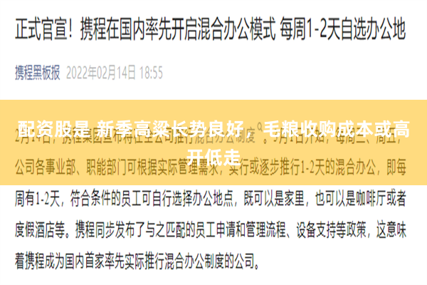 配资股是 新季高粱长势良好，毛粮收购成本或高开低走