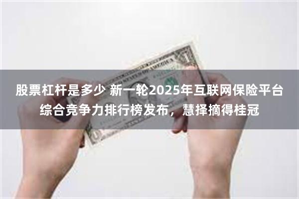 股票杠杆是多少 新一轮2025年互联网保险平台综合竞争力排行榜发布，慧择摘得桂冠